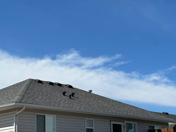 Professional Roof Repair & Installaion in Warrenton, GA